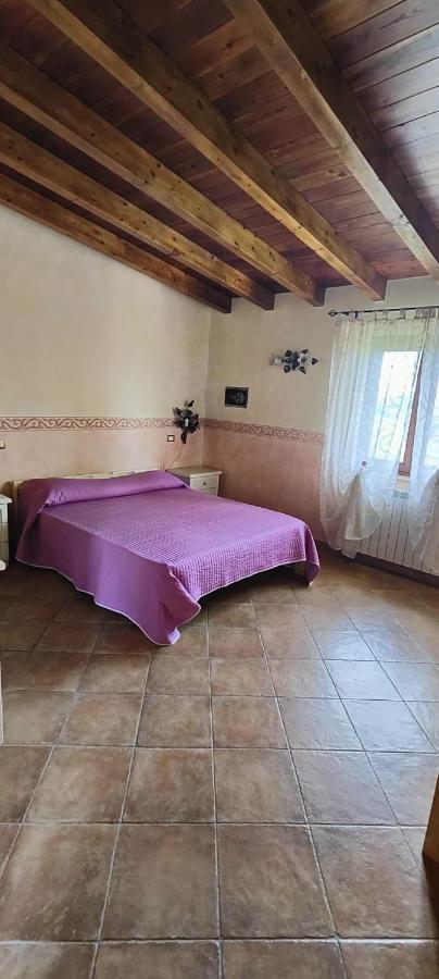 B&B Camera Delle Camelie パレストリーナ エクステリア 写真