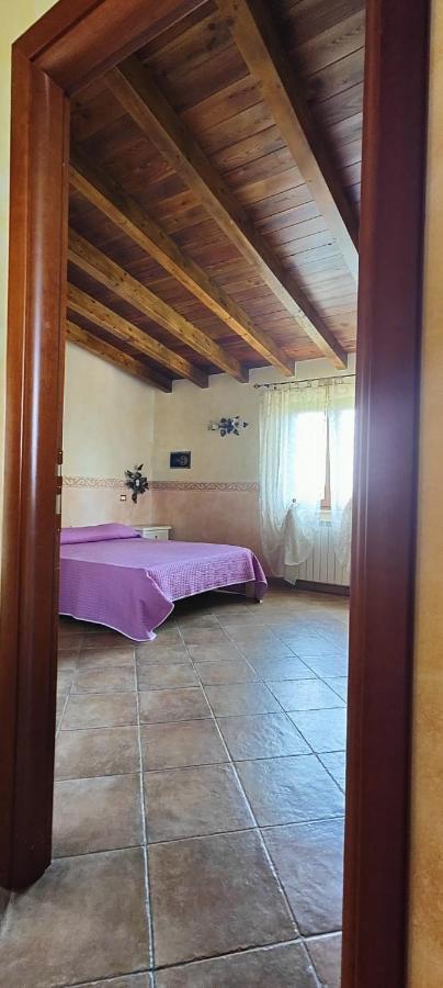 B&B Camera Delle Camelie パレストリーナ エクステリア 写真